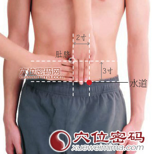 水道穴的准确位置图