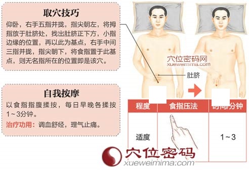 气冲穴的准确位置图