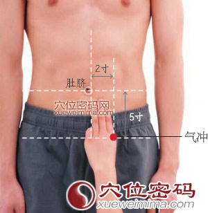 气冲穴的准确位置图