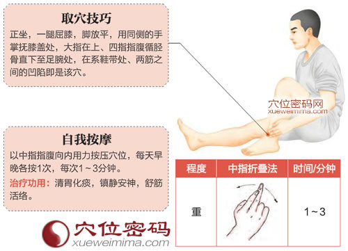 解溪穴的位置图