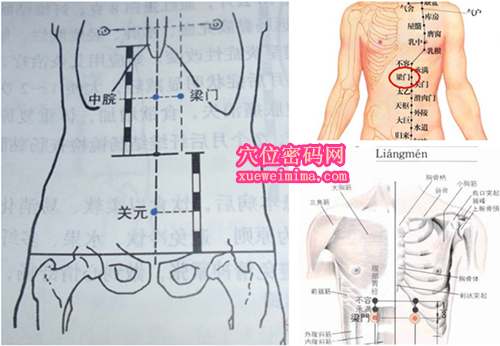 梁门穴位位置图（高清图组）