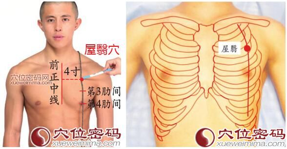 屋翳穴的准确位置图