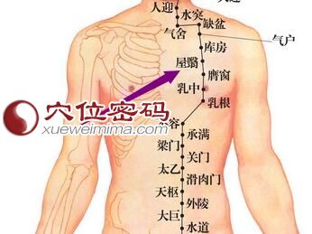 胃经屋翳穴位图
