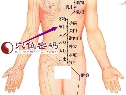 足阳明胃经梁门穴