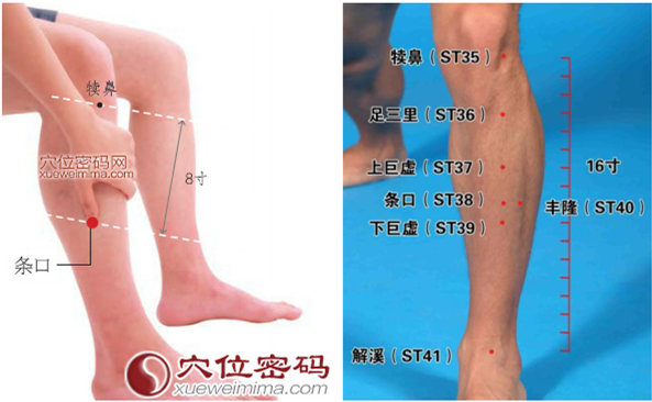 条口穴位位置图