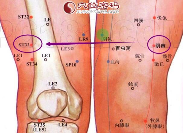 阴市穴的准确位置图