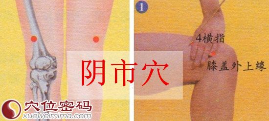 阴市穴的准确位置图
