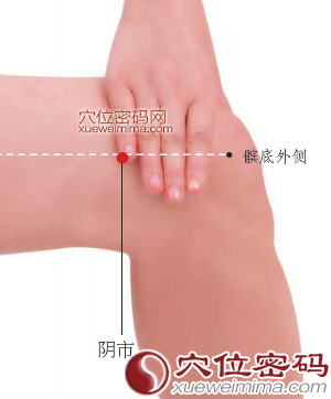 阴市穴位位置图