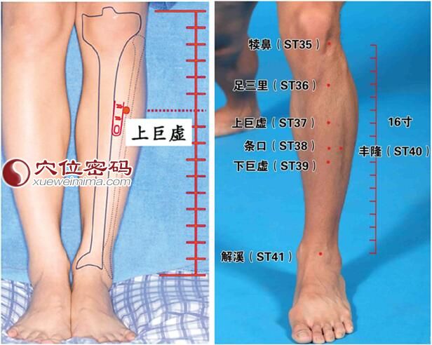 上巨虚穴的准确位置图