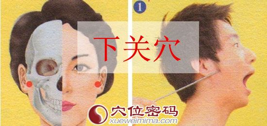 下关穴的准确位置图