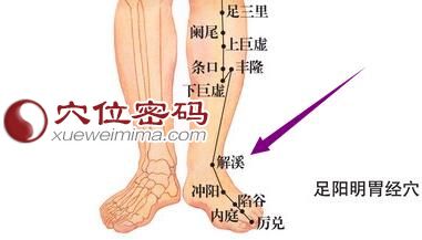 图解足阳明胃经之解溪穴