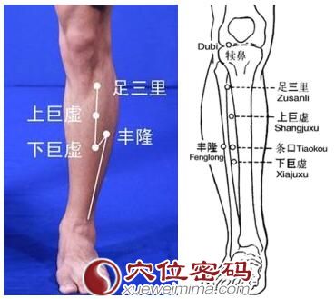 上巨虚穴的准确位置图