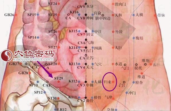 高清图解归来穴