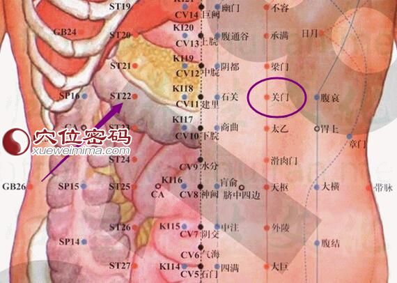 关门穴的准确位置及解剖分析图