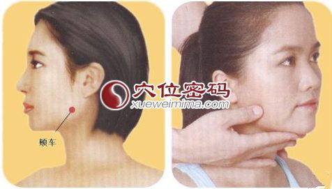 图解按摩颊车穴的手法