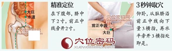 大巨穴的准确位置图及取穴方法