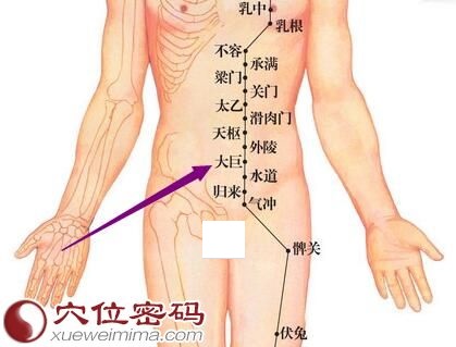 大巨穴位图