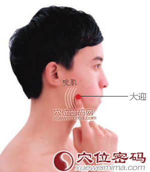大迎穴位位置图