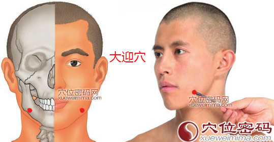 大迎穴的准确位置图