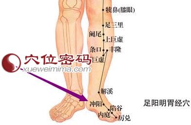 图解冲阳穴位图
