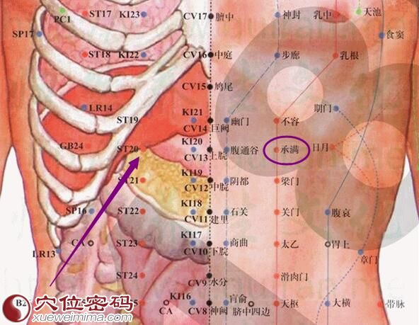 承满穴的准确位置图