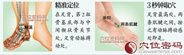 冲阳穴的准确位置图及取穴方法