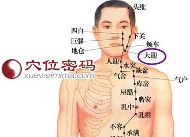 图解大迎穴的位置