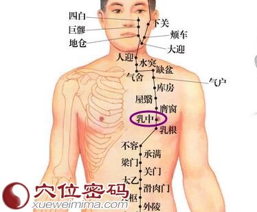 乳中穴位位置图