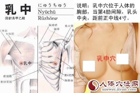 乳中穴的准确位置图 乳中穴的准确位置图