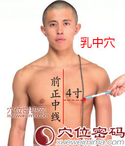 乳中穴的准确位置图
