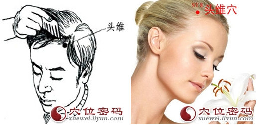 头维穴位位置图