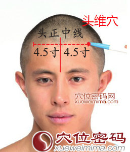 头维穴的准确位置图