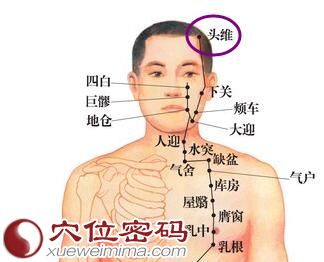 头维穴位位置图