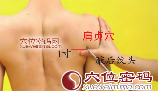 肩贞穴的准确位置图