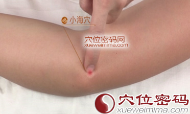 高清图解小海穴的准确位置图