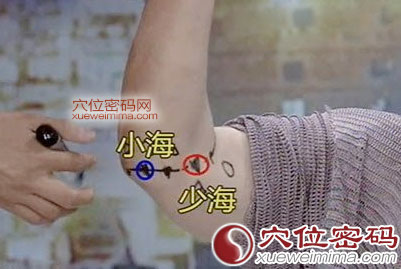 高清图解小海穴的准确位置图