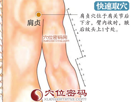 肩贞穴的准确位置图