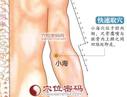 高清图解小海穴的准确位置图